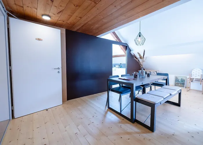 宾馆 Roessle 嫩青